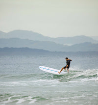 Thumbnail for Boulevard Longboard - Blue Stripe 9.0 - Good Wave Australia
