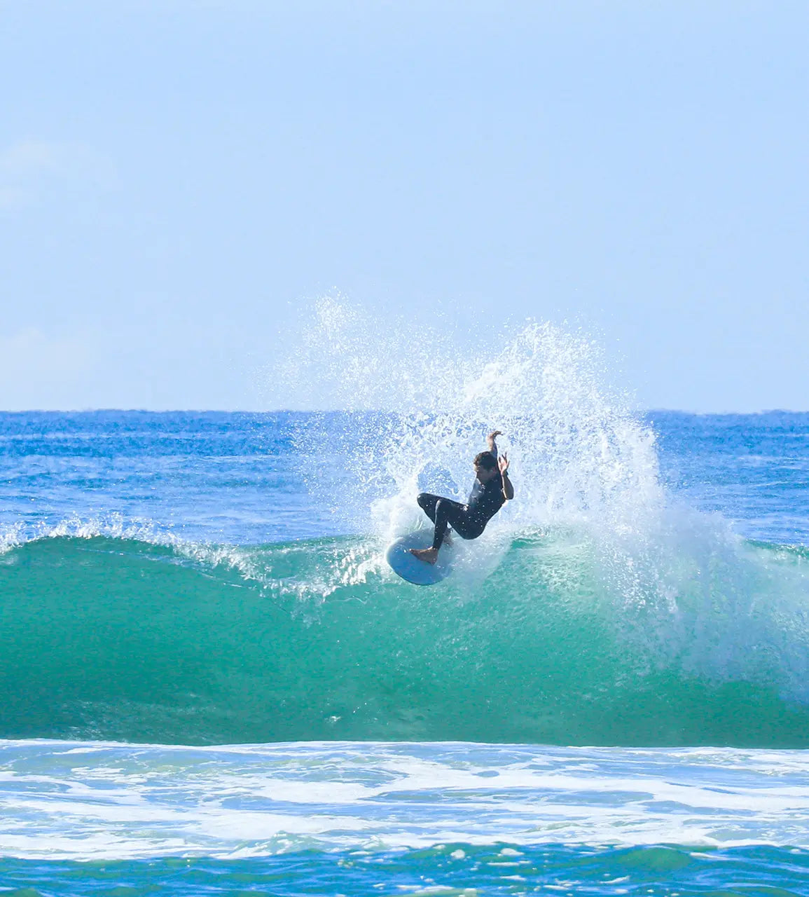 Favourite Dish Vintage Fish By Beau Young - Mint Surfboard