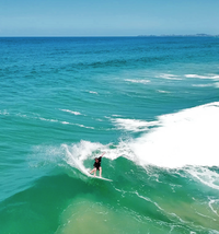 Thumbnail for AQSS Flying Fish - Light Blue - Good Wave Australia