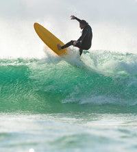 Thumbnail for Funster Mango - Mini Mal - Good Wave Australia