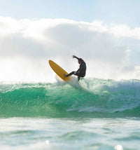 Thumbnail for Funster Pine Lime - Mini Mal - Good Wave Australia