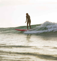 Thumbnail for Funster Pine Lime - Mini Mal - Good Wave Australia