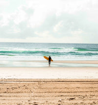 Thumbnail for Funster Blueberry - Mini Mal Surfboard