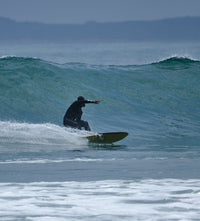 Thumbnail for BELLIED SEA SNAKES - SOFTBOARD - The Surfboard Warehouse Australia